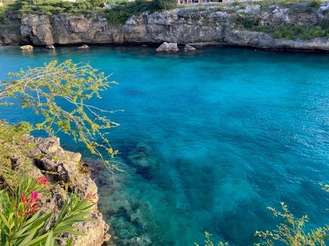 Blue Lagoon Apartment Lagun エクステリア 写真
